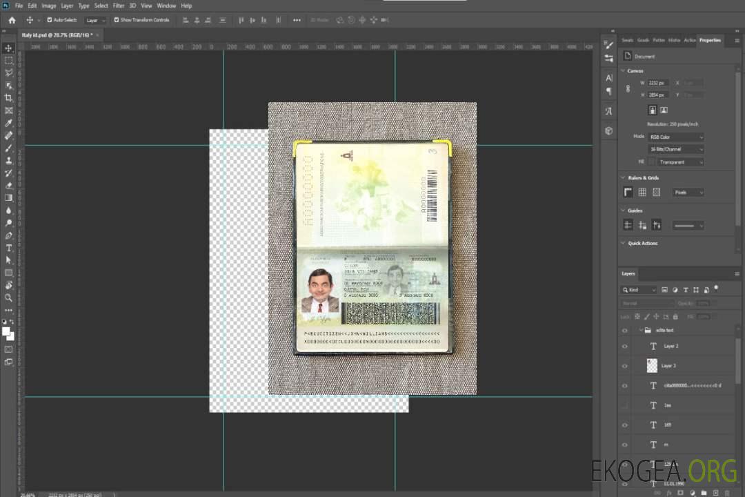Photo de passeport de l'Équateur template Photo de passeport de l'Équateur template